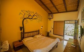 Bagheera Jungle Retreat